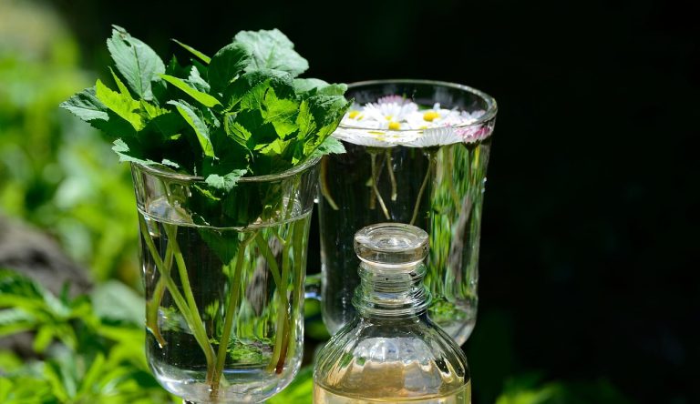 The Green Thumb’s Guide to Creating Your Perfect Herb Garden